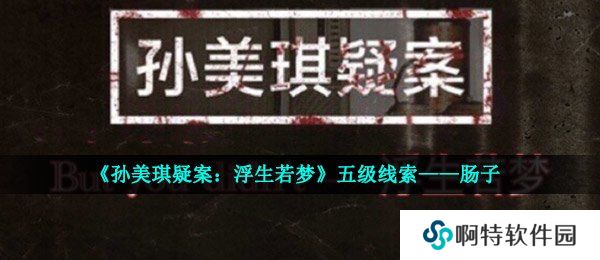 《孙美琪疑案：浮生若梦》五级线索——肠子