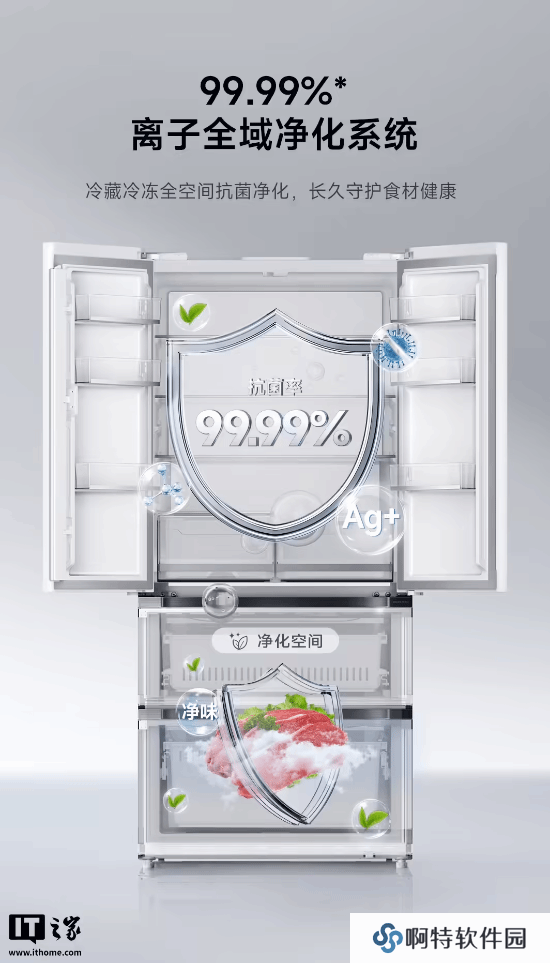 本站
